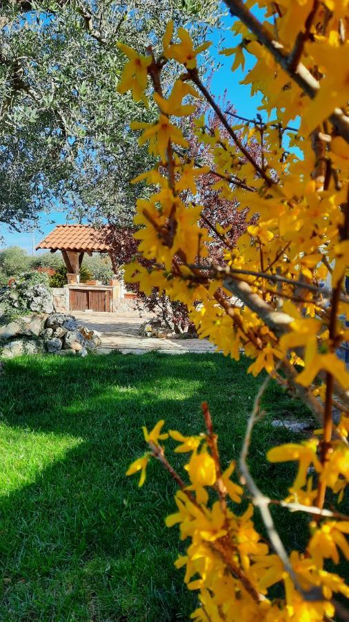 La Rosa Dei Trulli B&B 알베르벨로 외부 사진