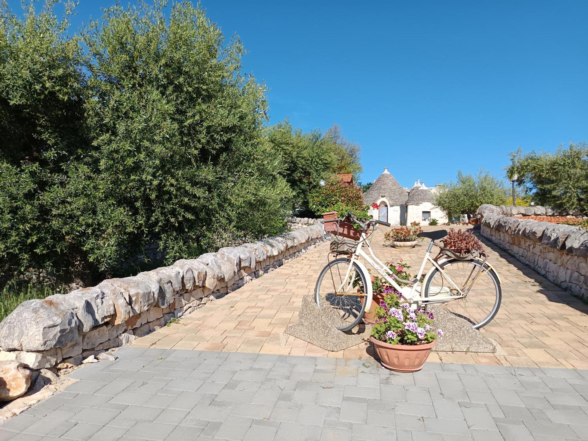 La Rosa Dei Trulli B&B 알베르벨로 외부 사진