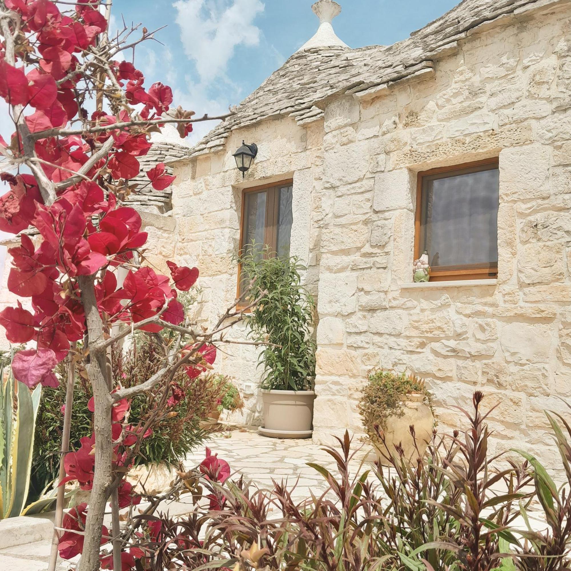 La Rosa Dei Trulli B&B 알베르벨로 외부 사진
