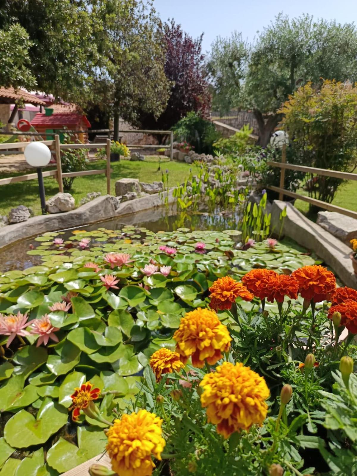 La Rosa Dei Trulli B&B 알베르벨로 외부 사진