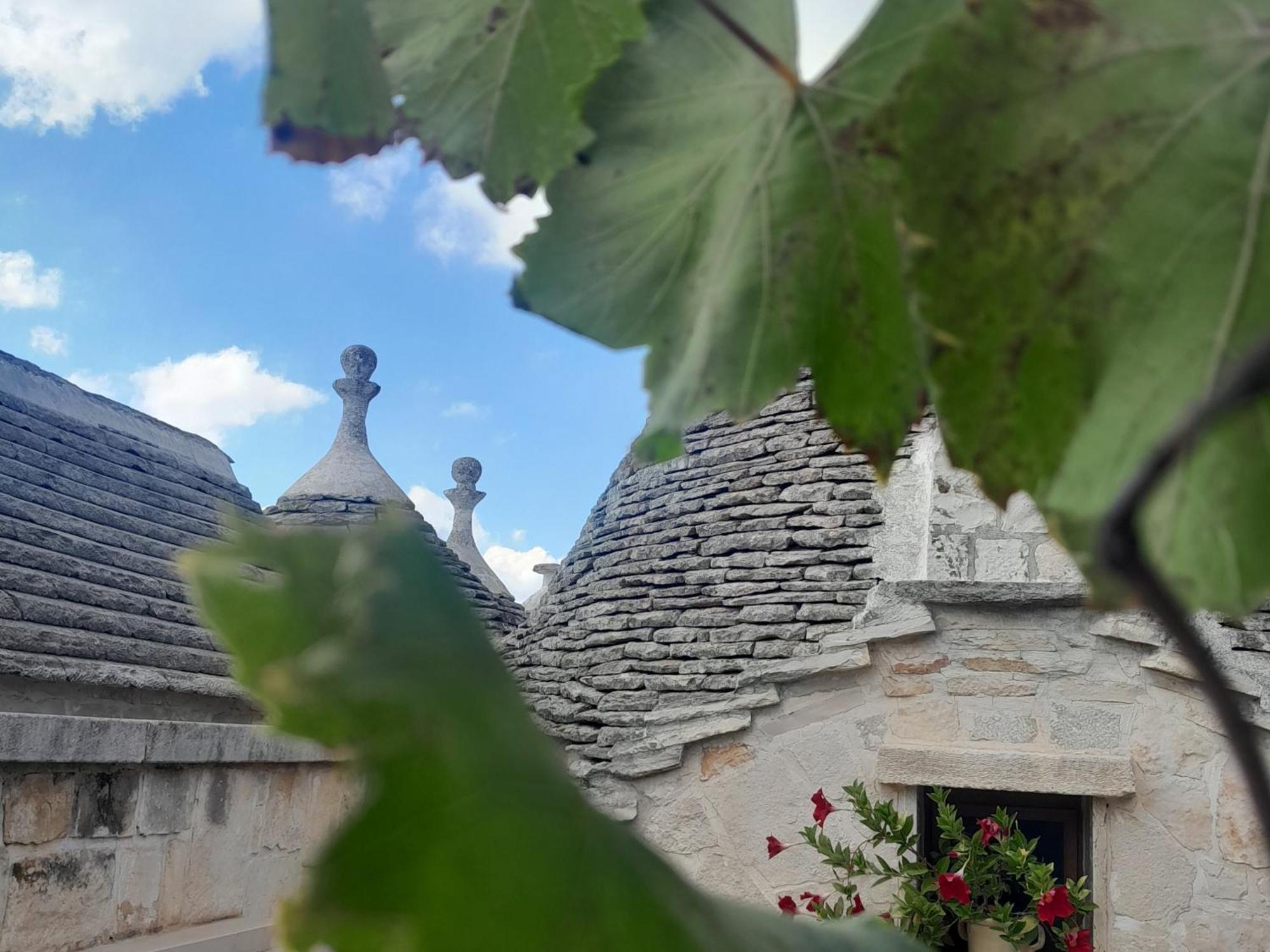 La Rosa Dei Trulli B&B 알베르벨로 외부 사진