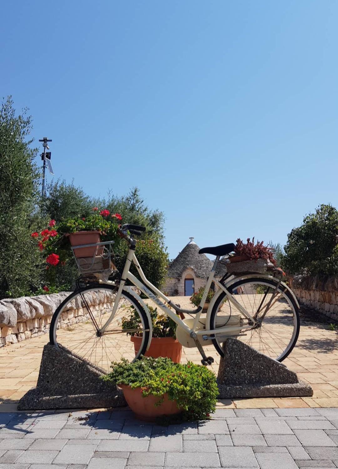 La Rosa Dei Trulli B&B 알베르벨로 외부 사진