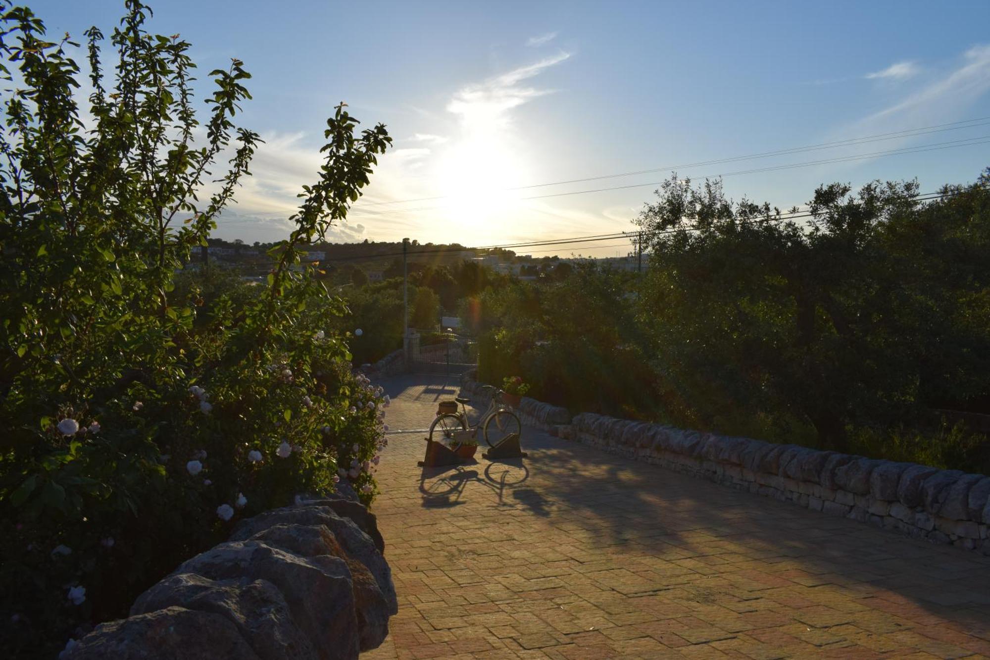 La Rosa Dei Trulli B&B 알베르벨로 외부 사진