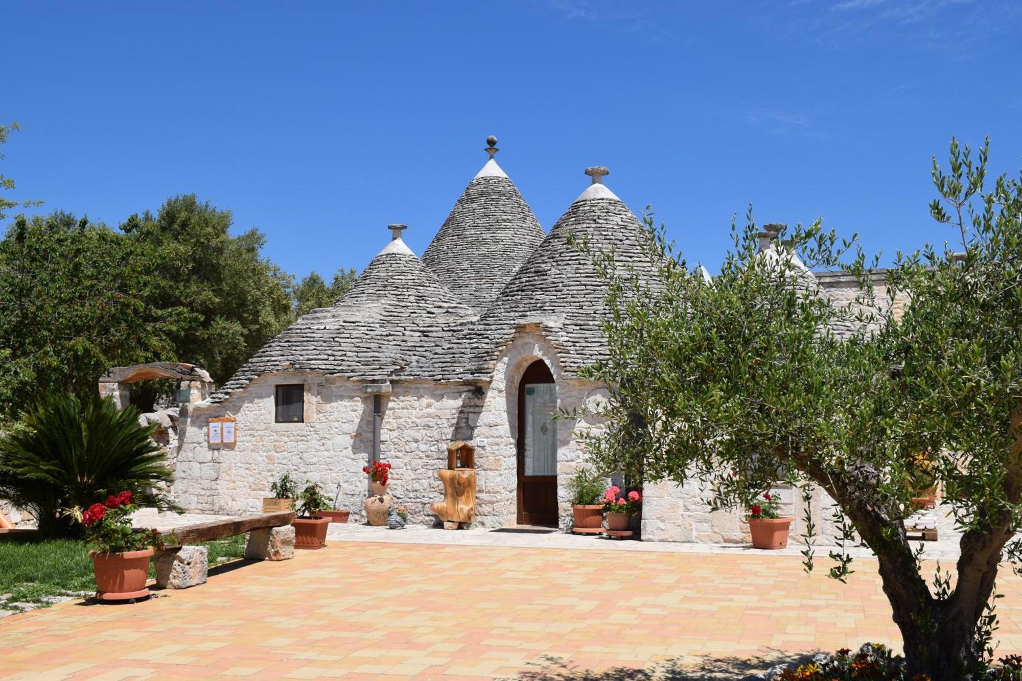 La Rosa Dei Trulli B&B 알베르벨로 외부 사진