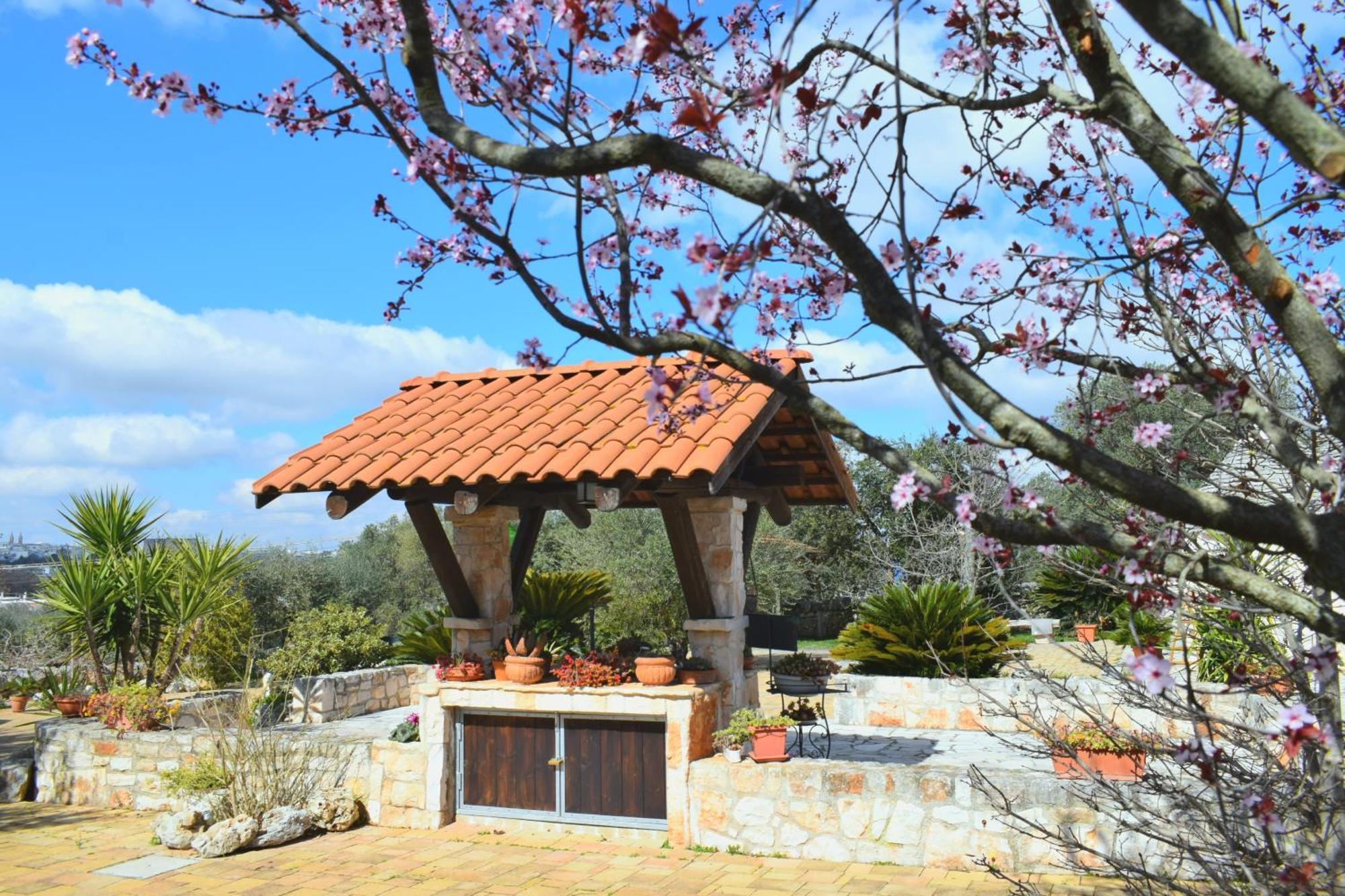 La Rosa Dei Trulli B&B 알베르벨로 외부 사진