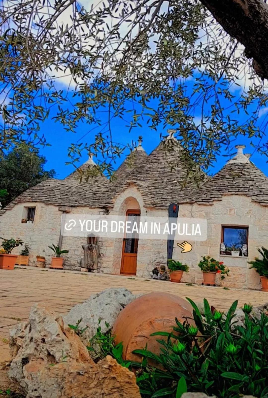 La Rosa Dei Trulli B&B 알베르벨로 외부 사진