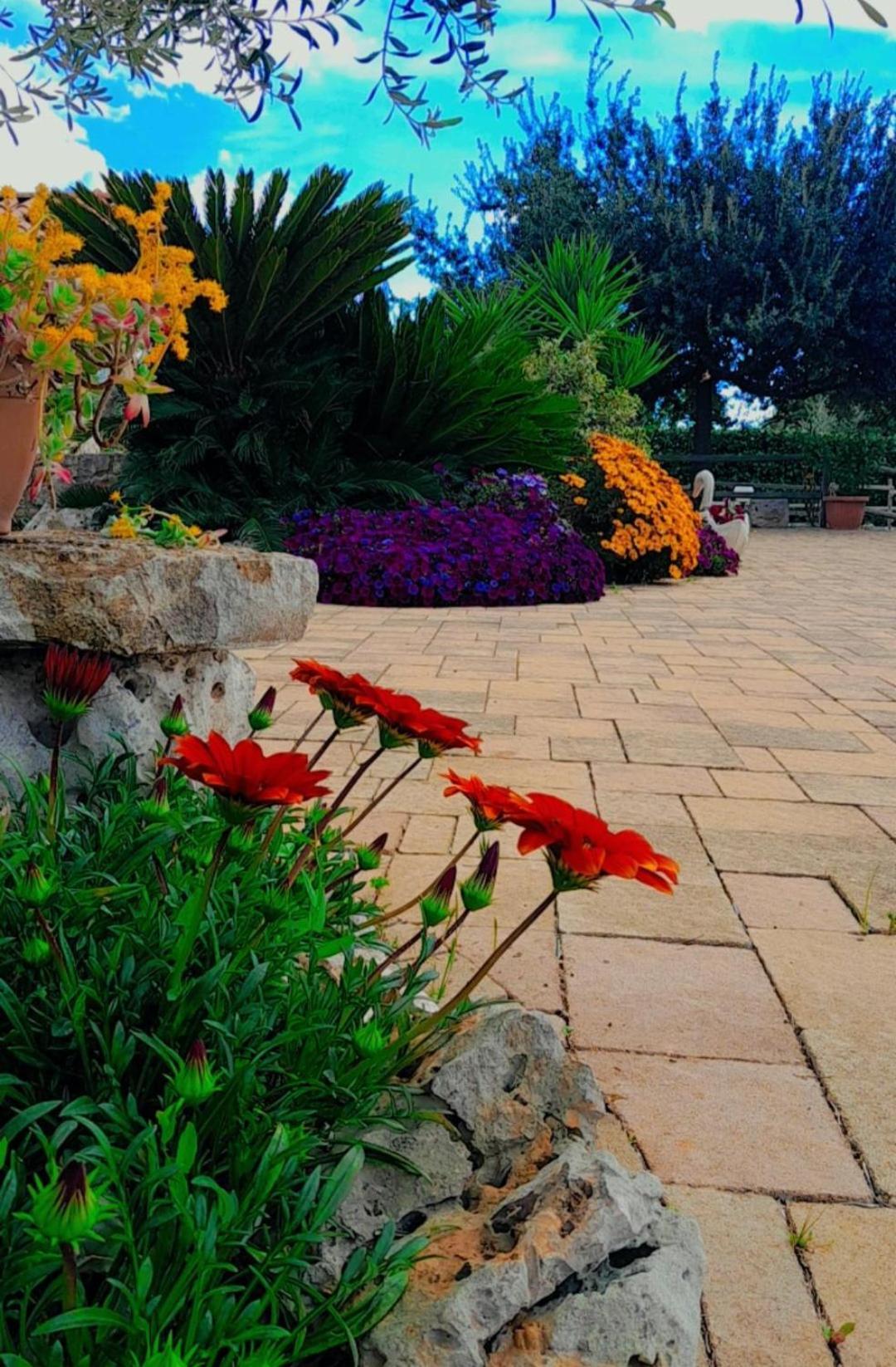 La Rosa Dei Trulli B&B 알베르벨로 외부 사진