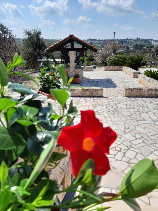 La Rosa Dei Trulli B&B 알베르벨로 외부 사진